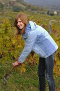 Vendanges-2009-10-25-04-