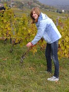 Vendanges-2009-10-25-05-