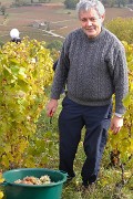 Vendanges-2009-10-25-06-