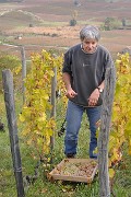 Vendanges-2009-10-25-12-