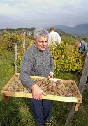 Vendanges-2009-10-25-14-