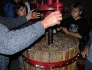 Vendanges-2009-10-25-25-