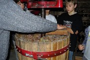 Vendanges-2009-10-25-26-