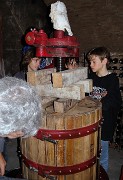 Vendanges-2009-10-25-30-