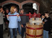 Vendanges-2009-10-25-33-