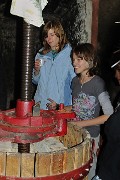 Vendanges-2009-10-25-40-
