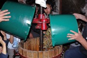 Vendanges-2009-10-25-42-