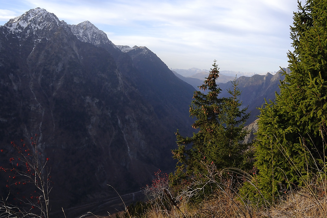 GdeLanceAllemont-2009-11-21_02.jpg