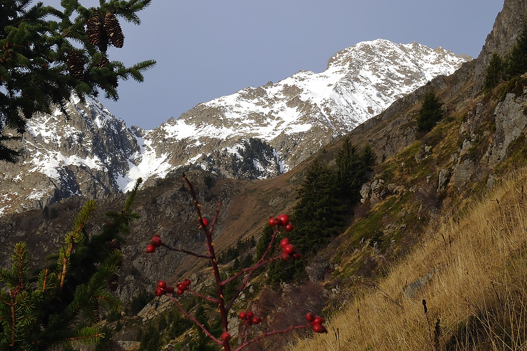 GdeLanceAllemont-2009-11-21_03.jpg