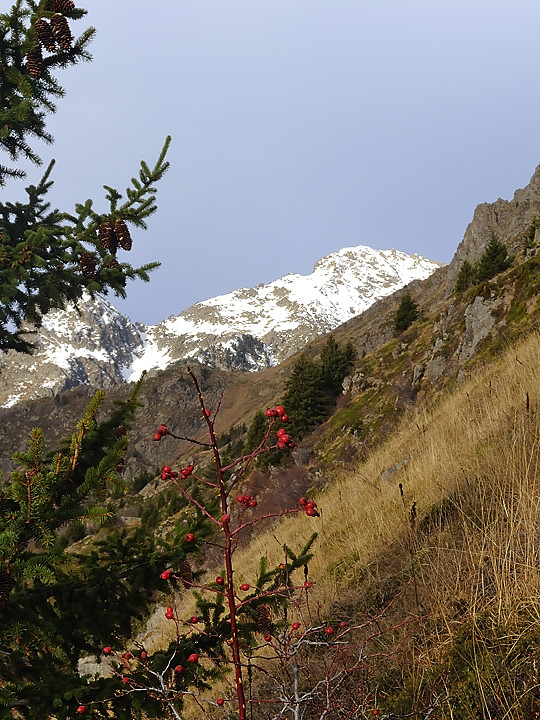 GdeLanceAllemont-2009-11-21_04.jpg