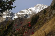 GdeLanceAllemont-2009-11-21_03