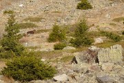 GdeLanceAllemont-2009-11-21_08