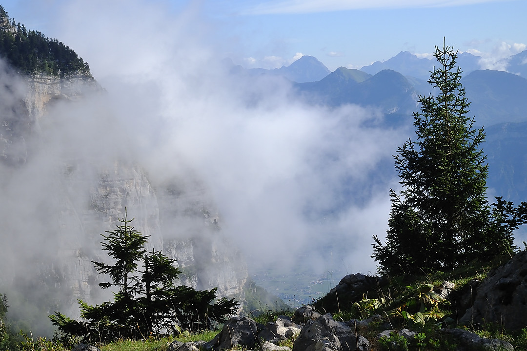 Granier-2010-08-29_03.jpg - AU Col de l'Alpette