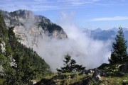 Granier-2010-08-29_02
