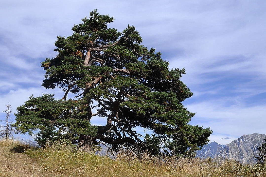 Obiou-2010-09-05_20.jpg