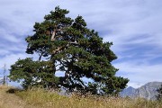 Obiou-2010-09-05_20