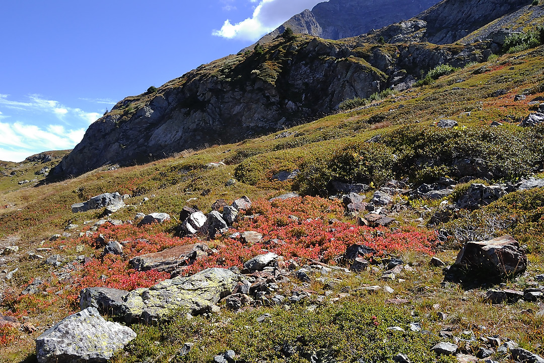 Taillefer-2010-09-12_15.jpg - c'est deja l'automne !