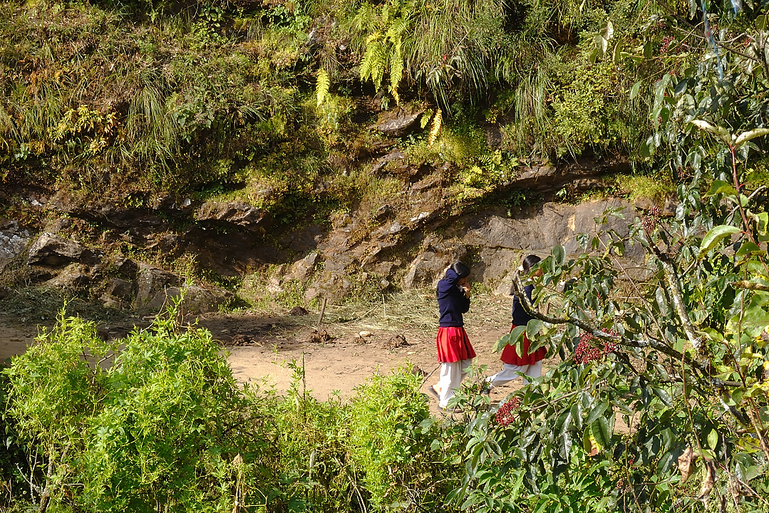 DSCN1700.jpg - KTM - Lukla - Chutok/Poyan (j1) : ecolieres retournant a la maison