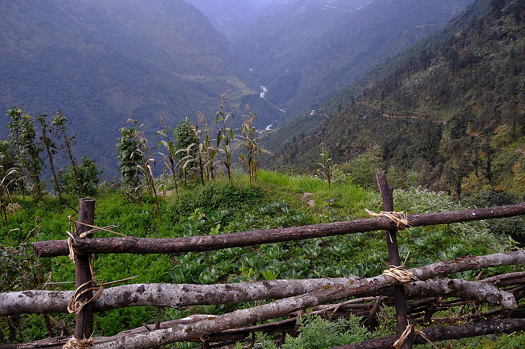 DSCN1711.jpg - KTM - Lukla - Chutok/Poyan (j1) ; encore un jardin