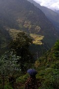 DSCN1701
