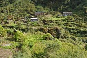 DSCN1702
