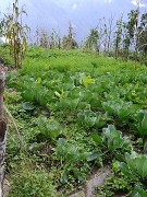 DSCN1710