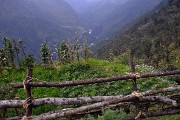 DSCN1711