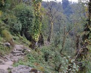 DSCN1715
