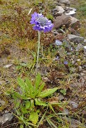 DSCN1768