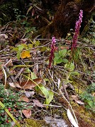 DSCN1769