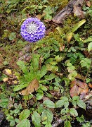 DSCN1771