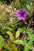 DSCN1773