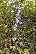 DSCN1775