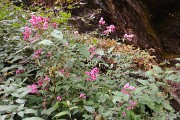 DSCN1783