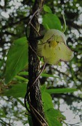 DSCN1790