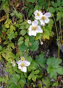 DSCN1793
