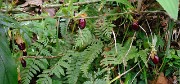 DSCN1797