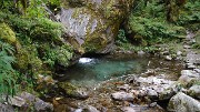 DSCN1798