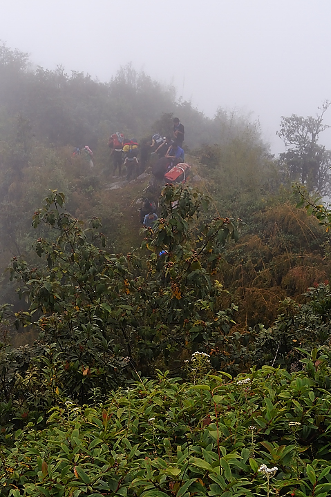 DSCN1807.jpg - Sibuche - la grotte (j4) : toute la journee on monte et descend dans le brouillard avec parfois quelques rayons de soleils timides --- le buisson est un alisier avec des tres grandes alises