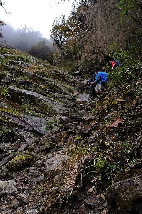DSCN1811.jpg - Sibuche - la grotte (j4) : et parfois le chemin n'est pas evident a trouver