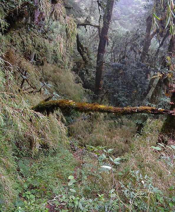 DSCN1821.jpg - Sibuche - la grotte (j4)