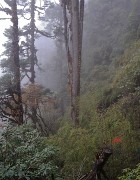 DSCN1826