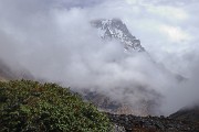 DSCN1839