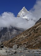 DSCN1883