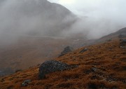 DSCN1980