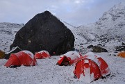 DSCN1981