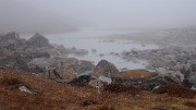 DSCN1991