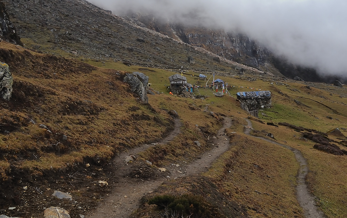 DSCN2123.jpg - Makalu BC - Yangri Kerka (j17) : retour a la verdure pour la pause midi --- ca fait tout drole