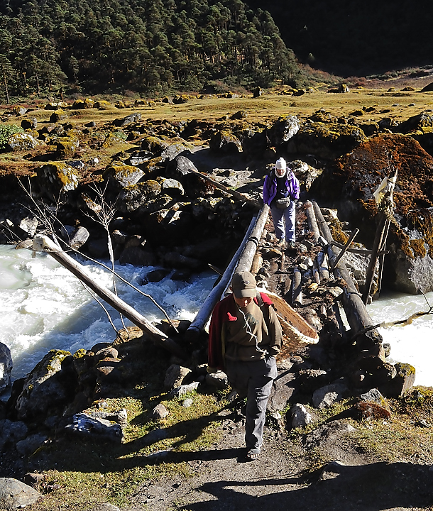 DSCN2146.jpg - Yangri Karka - Dobato (j18) : quelques minutes en aval du lodge, le pont pour passer rive gauche