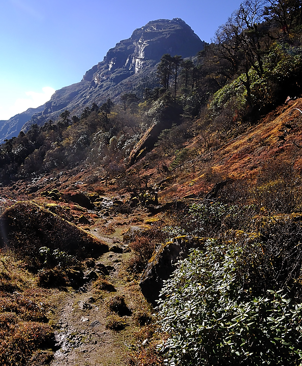 DSCN2152.jpg - Yangri Karka - Dobato (j18)